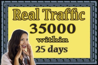 drive unlimited USA website traffic