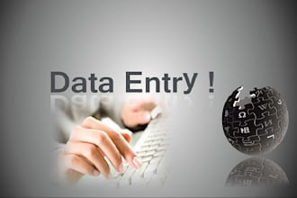 complete any type of Data Entry work, 3 hours