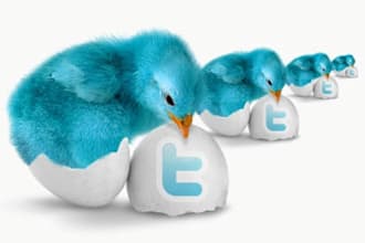 damnQuick sent you 15000+ real looking twitter followers within 24 hours