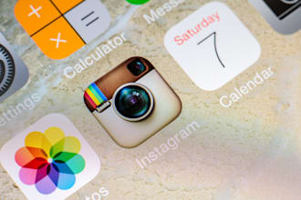 organically promote and grow instagram profile or post