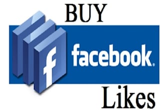 provide you 700 active real facebook likes