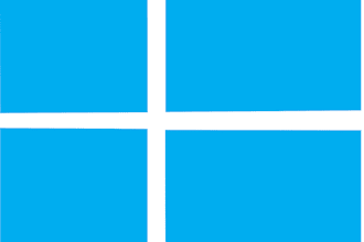 computer support  in minutes
