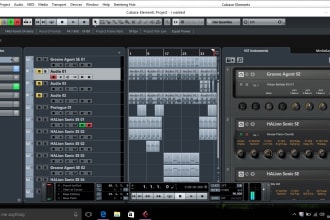 produce a studio quality instrumental in 24HRS