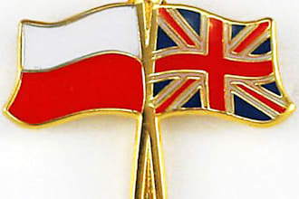 translate English to Polish or Polish to English