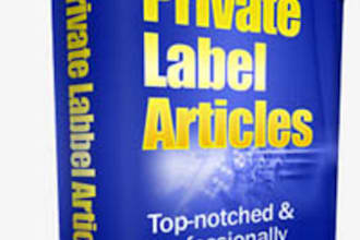 give you Over 500 000 Very High Quality PLR Mega Packages