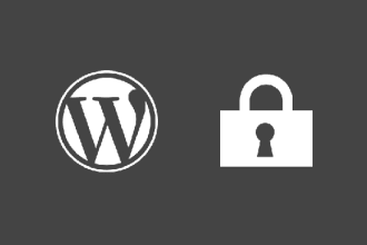 security check your Wordpress website