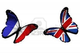 translate up to 300 word text from English to French Or French to English