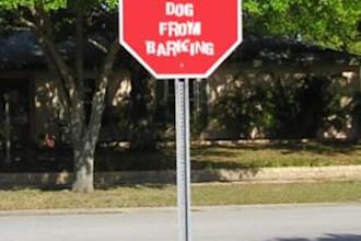 deliver a report How to stop a dog from BARKING in 24 hours