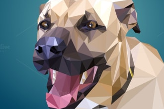 create a low poly illustration for you