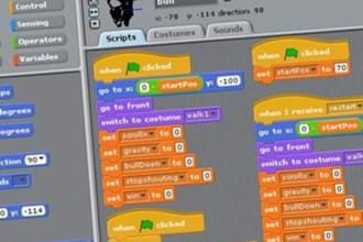create you a fully customized 2d game
