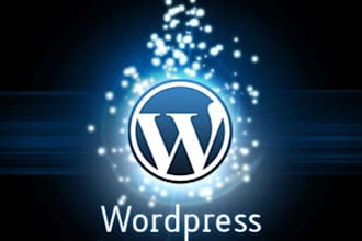 create configure setup and fix your wordpress website quickly