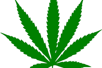 medical Marijuana Doctors in Florida