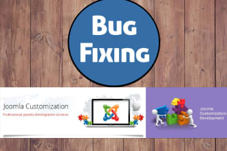 fix joomla error, template issue, solve any website issue and website bug