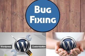 fix wordpress issues, bugs, errors, white page issue, css