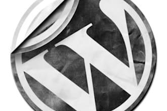 help you figure out what's going on with your WordPress