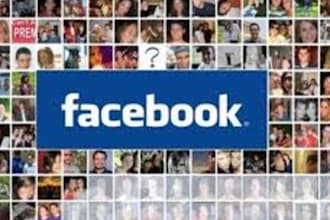 hand over to you my facebook ids list of buyers including their emails,name and profile link