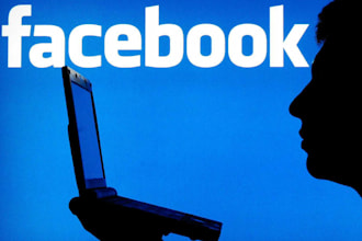 setup and optimize facebook ads campaign