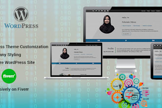 do wordpress theme,  plugins installation and customization