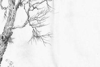 draw a random tree or trees and send them to you