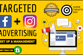 set up laser targeted facebook and instagram ads campaign