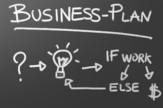 provide you with a professional business/marketing plan template
