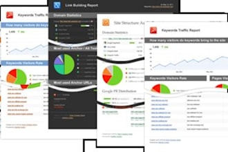 give you an easy to follow SEO report of your website