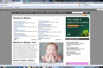 teach you how you can install and configure word press website