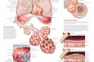 show you all you want to know about Chronic Obstructive Pulmonary Disease
