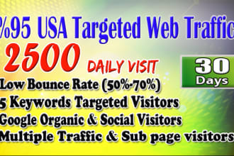 send strong organic targeted USA web traffic