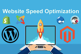 optimize cms website to increase pagespeed score