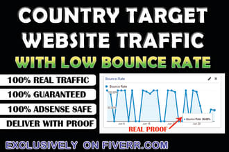 drive country target web traffic, real visitors