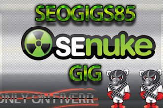 perform a complete SENUKEX campaign for your website