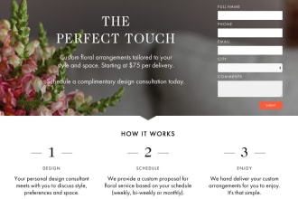 do wordpress landing page, wordpress redesign, or squeeze page