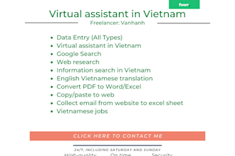 be a virtual assistant and data entry in vietnam