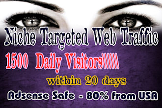 drive niche targeted traffic, visitors to your website
