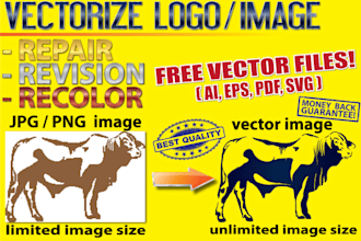 vectorize, convert your logo or graphic into vector