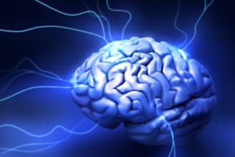 brainstorm your story with you