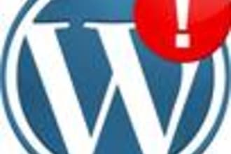 do any wordpress stuff like web site creation updation maintenance correction etc