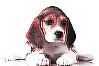 convert a 2D into a 3D image effect and include a dizzy image copy