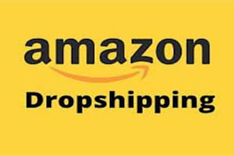 consult you and automate your amazon dropshipping store