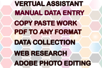 do data entry, pdf to excel, word and copy paste work