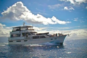 serve you lunch on our 70 foot yacht to learn about a greatest business