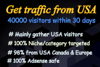 provide niche targeted real,website,traffic,visitors