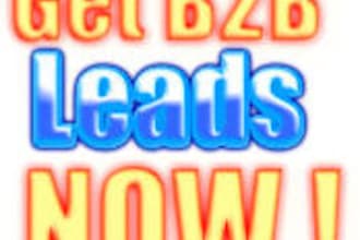 generate a list of B2B Local Leads for your Offline Marketing Business