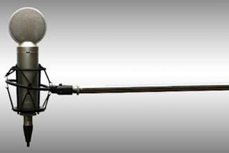 do a professional voice over