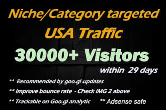 niche and USA targeted real traffic, visitors