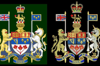 do embroidery digitizing in 3d puff dst format