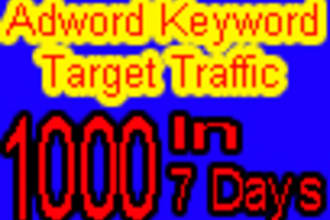 send 1000 Keywords Target Visitors To Your Web Site In 7 Days Using My Adword Account