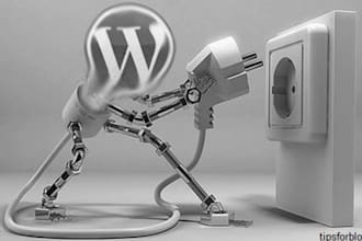 create/install a custom wordpress plugin/widget