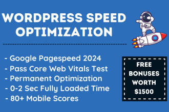 do wordpress speed optimization for google pagespeed insights